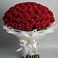 Букет 101 Красная роза Блэк Мэджик в Ходзь