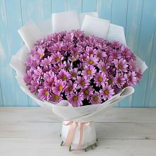 Букет цветов из:  Хризантемы #REPLACE_PRED# Ходзь