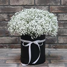 Цветочная композиция из Гипсофила в шляпной коробке в Ходзь