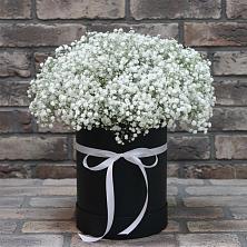 Цветочная композиция из Гипсофила в шляпной коробке в Ходзь