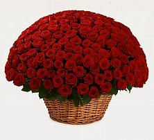 Премиум букет из: Розы в Ходзь